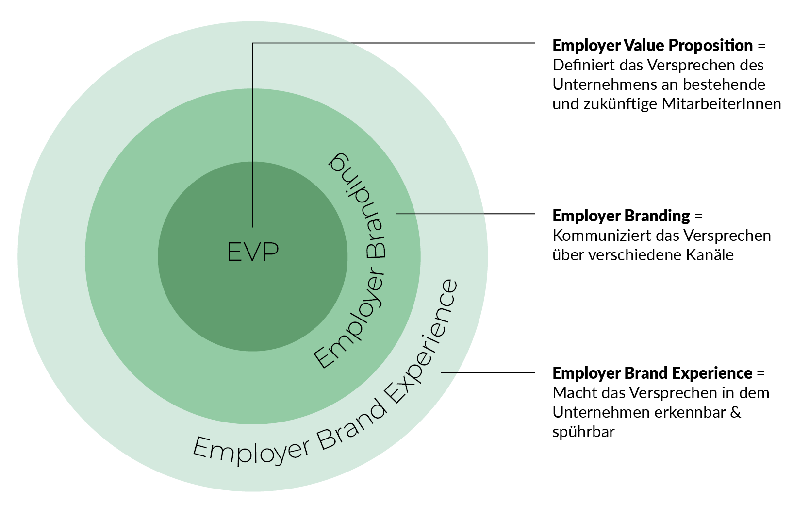 Grafik zur Employer Brand Experience